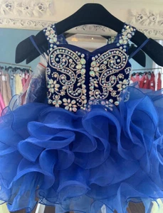 Jenniferwu Pageant Party Princess Birthday Dresses Tulle Tutu Dress for Girls - Picture 1 of 2