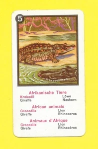 Carte allemande - Animaux d'Afrique - Crocodile - Picture 1 of 1