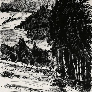 Hans Venter paisaje forestal Erzgebirge Sudetenland signo tinta dibujo años 20 - Imagen 1 de 3