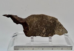 Meteorite Gibeon Iron, IVA 221 g Exceptional shape. I sale my collection
