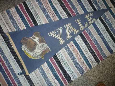 Yale Bulldogs XL Pennant, 13.5 x 33.5" Cover