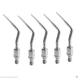 5x Escalador dental Punta de escalado supragingival GK1 Ajuste Tipo Kavo Punta de escalador No.5 - Imagen 1 de 6