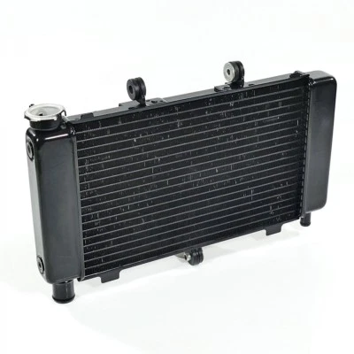 YAMAHA FZ6 FZ6-S RJ07 Fazer radiador radiador de agua solo 18732 km Foto 1 de 4