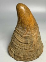 5.5" Antique Old China ox horn Small striation Cusp statue Asian Collections