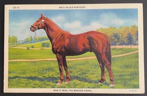 Man O' War Kentucky Post Card - unused - never mailed - Picture 1 of 2