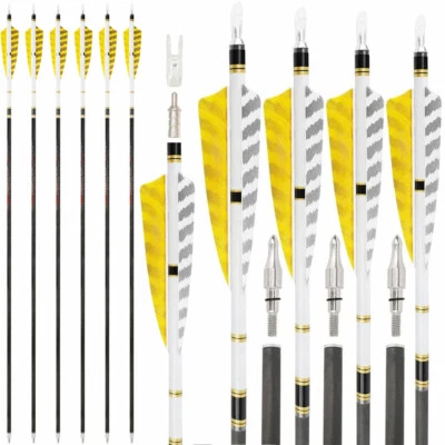 Pure Carbon Arrow 31" Archery SP250-600 Feather Compound Bow Recurve Bow Hunting - Image 1 of 4