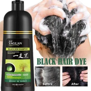 Shampoo Colorante Tintura Capelli Istantaneo Tintura Rapida Nero/Marrone Permanente - 1/2*500m\DE\ - Foto 1 di 17