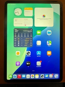 Apple iPad Pro 11" 1st gen WI-FI 256 GB (621) - Foto 1 di 4