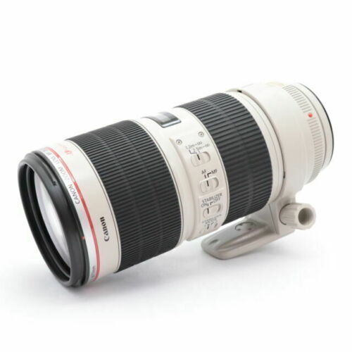 Canon+EF+mm+f%2F2.8L+IS+II+Telephoto+Zoom+Lens+USM+ +EF