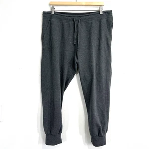 Patagonia Women's Large Ahnya Organic Cotton Drawstring Gray Joggers Pants - Picture 1 of 10