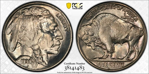 1934 D PCGS MS65 Buffalo Nickel Cover