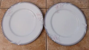 Noritake Evening Mood Dinner Plates Platinum Rim Set of 2 EUC Beautiful! - Picture 1 of 8