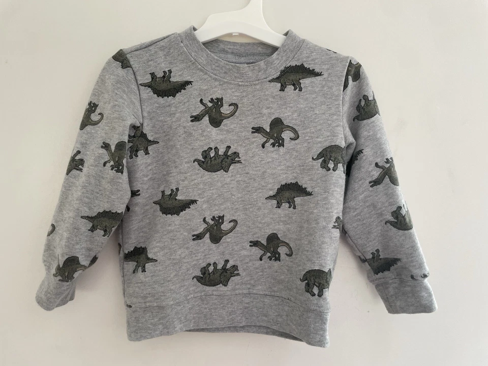 Carter's Niño Pequeño Niños Todo Verde Dinosaurio Algodón Cuello Redondo Sudadera Gris 2T Foto 1 de 4