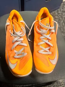 Size 9- Nike Max LeBron 11 Low Floridian - Picture 1 of 8