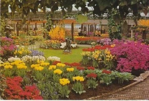 Netherlands - Flower Gardens in Holland  (Postcard) 1982 - Picture 1 of 2