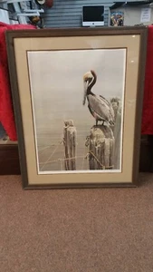 Robert Bateman Brown Pellican and Pilings Firmato dall'artista e incorniciato - Foto 1 di 6