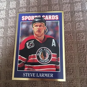 1992 SCN Gold #5 Steve Larmer Chicago Blackhawks RARE! - Picture 1 of 2