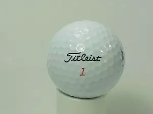 Titleist - 12 - Imagen 1 de 1
