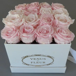 VENUS et FLEUR 7"X7" Gift Box "Eternity Roses" with 16 Pale PINK Preserved ROSES - Picture 1 of 7
