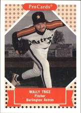 1991-92 ProCards Tomorrow's Heroes #232 Wally Trice