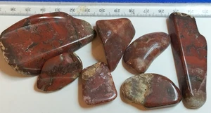 Nice Lot of Machine polished Scott's Bay Nova Scotia Agate 7 pieces - Picture 1 of 10