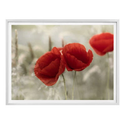 Poster Delgado - Mohnblumenpaar WANDDEKO FSC zertifiziert KRATZFEST - Bild 1 von 4