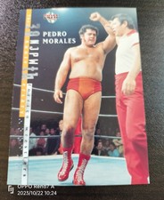 Pedro Morales BBM 2002 Wrestling Card NJPW  WWWF