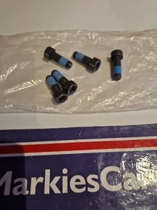 PACK DE 5 TORNILLOS FIAT ORIGINALES NUEVOS 55209531 - Imagen 1 de 4
