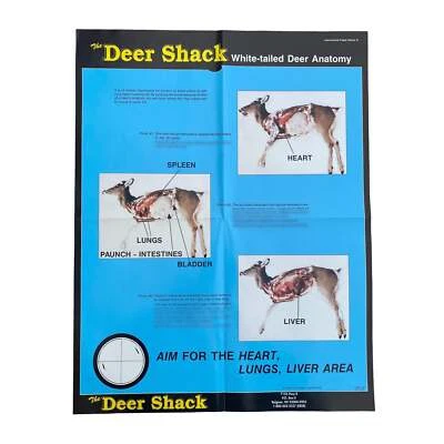 Deer Anatomy #1 Hunting Information Poster - Image 1 of 2