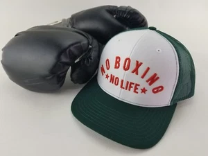 cappello canelo, cappello Canelo Alvarez, no boxe no vita, Richardson 112, berretto - Foto 1 di 9