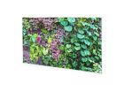 Acrylglasbild Wandbild Plexiglas Natrliche Wand aus Blumen 100x50 cm