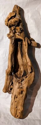 Maceta suculenta de madera a la deriva.  Foto 1 de 4