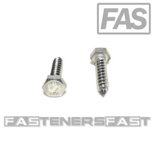 (25) 1/4 x 1-1/4 316 Acero Inoxidable Cabeza Hexagonal Tornillos de Retraso GRADO MARINO - Imagen 1 de 4