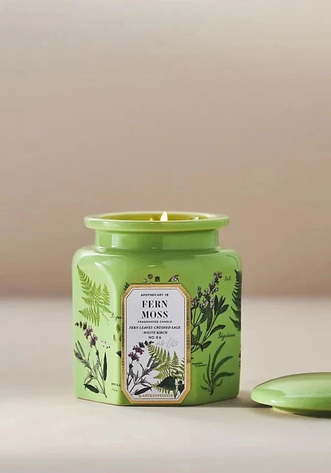 Anthropologie Boticario 18 Fresco Helecho Musgo Cerámica Tarro Vela Con Tapa Nuevo Foto 1 de 1