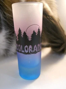 VINTAGE COLORADO SOUVENIR SHOT GLASS - Picture 1 of 8