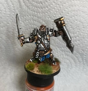 Well painted 25mm 28mm reaper bones Half-ogre Fighter Hero Paladin d&d Fantasy - Picture 1 of 4