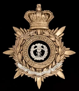 The Middlesex Regt blau Stoff Offiziershelmplatte - Bild 1 von 1