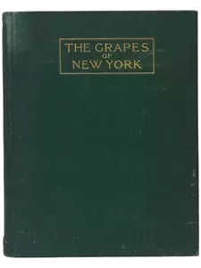 The Grapes of New York (Report of the New York Agricultural Experiment Station.. - Picture 1 of 3