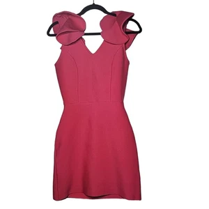 Heiß rosa Rüschenärmel hinten offen Kleid Größe Small Barbie Valentinstag Datum Hoco - Bild 1 von 8
