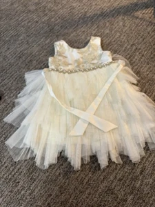 Vestido Princesa Americana Bordado y Joyas 2T - Imagen 1 de 1