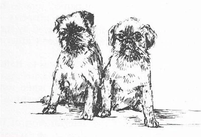 Grifo de Bruselas #2 - PERSONALIZADO MATE - 1963 impresión artística vintage para perros 0507 CLD Foto 1 de 2