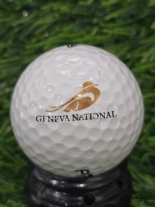 Geneva National Golf Club Logo Golf Ball - Wisconsin - Picture 1 of 2