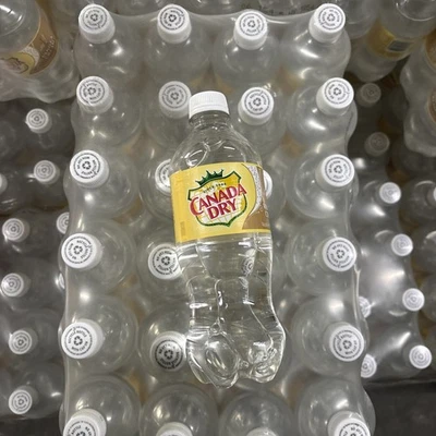 Crema de vainilla seca Canadá soda 20 oz exótica pop 24 botellas Foto 1 de 3