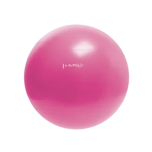 YB01N 55CM ROSA PELOTA DE GIMNASIA HMS - Imagen 1 de 3