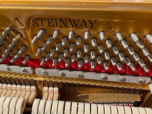 STEINWAY & SONS  Klavier Modell F