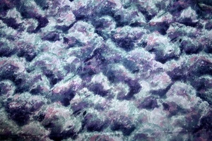 CLOUDS IN PURPLE AND BLUE BY NANCY CROW FOR JOHN KALDOR COTTON FABRIC - Picture 1 of 4