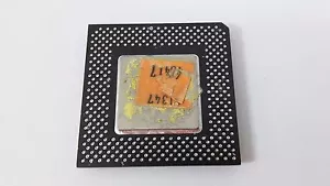 Processore CPU ceramica Intel Pentium SL3EH collezione placcato oro vintage raro - Foto 1 di 7