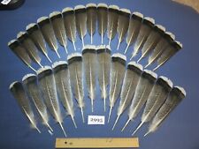 28 Pcs,Bronze turkey tail feathers,feather headband,Centerpiece Feathers,(2995)