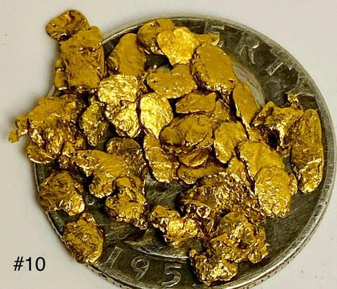 GOLD NUGGETS 3+ GRAMS Alaska Natural Placer #10 Screen Mammoth Creek Cover