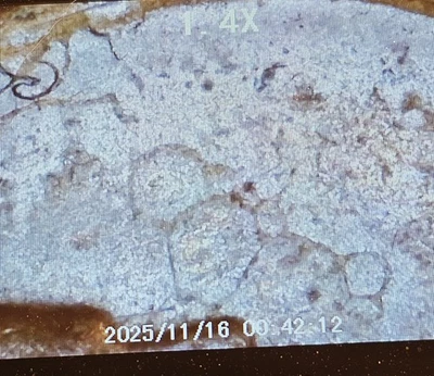 1936 Lincoln Wheat Penny Obverse Die Crack Error - Image 1 of 4